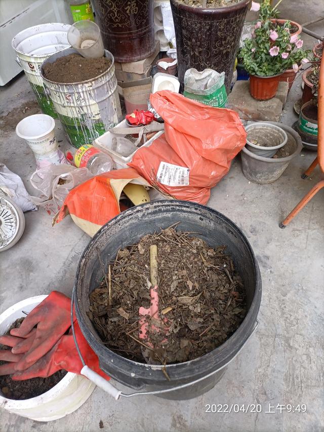 生活随笔记