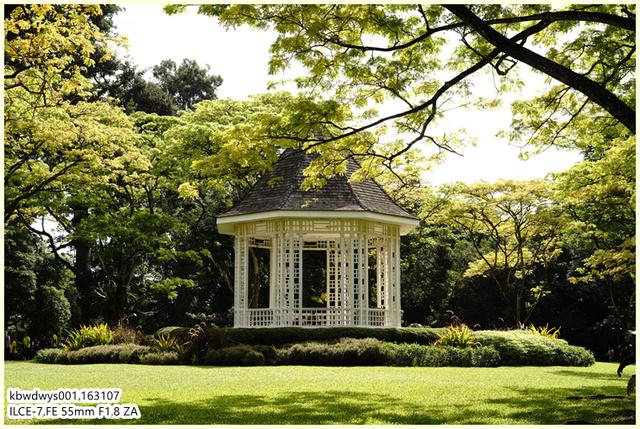 生活雜記：坡島散記08——流連忘返植物園