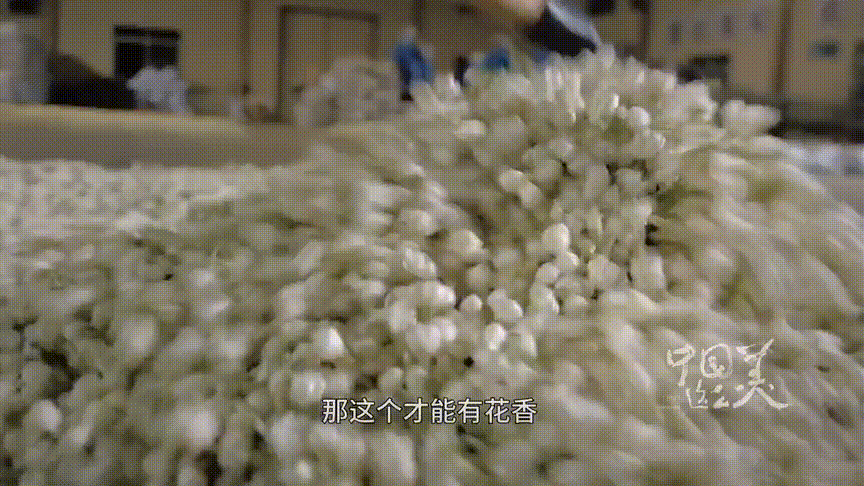 超美!又一神仙綜藝開播，跟著《早餐中國》團隊解鎖9個詩意旅行地