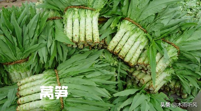 种植莴笋，施什么肥料长得粗壮？掌握施肥技术，让莴笋长得更粗壮2