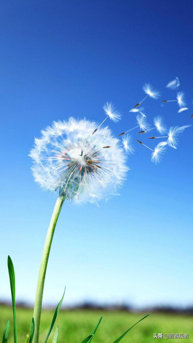 藏头小诗／生命之轻