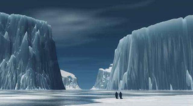 科学家警告：各种迹象表明，地球或许正进入第六次生物大灭绝