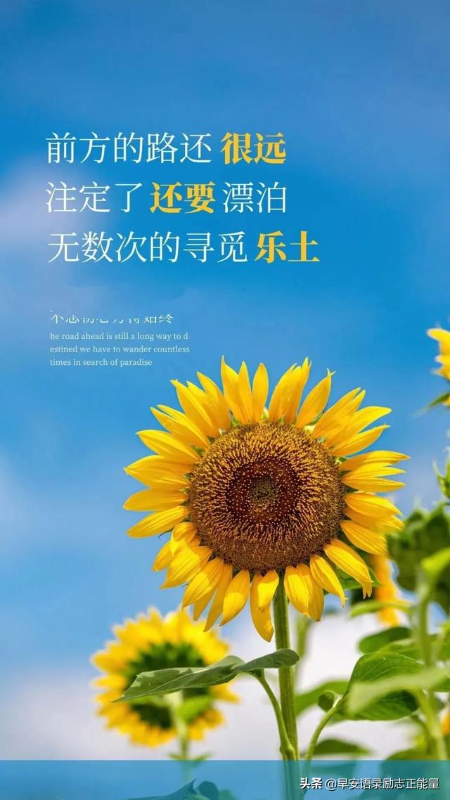 朋友圈最伤感的心灵鸡汤心情说说，朋友圈励志早安心语满满正能量