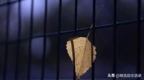 五十岁以后，最好的依靠，是以下三个人