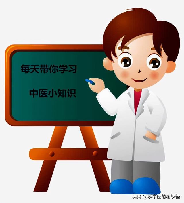 每天学习一味中药——白茅根