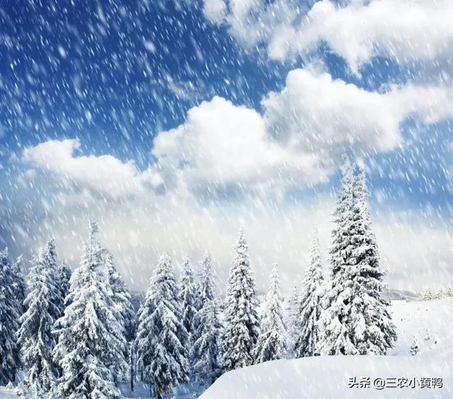 天气预报：今日21号，新一轮雨雪已确认，倒春寒成定局？农谚咋说