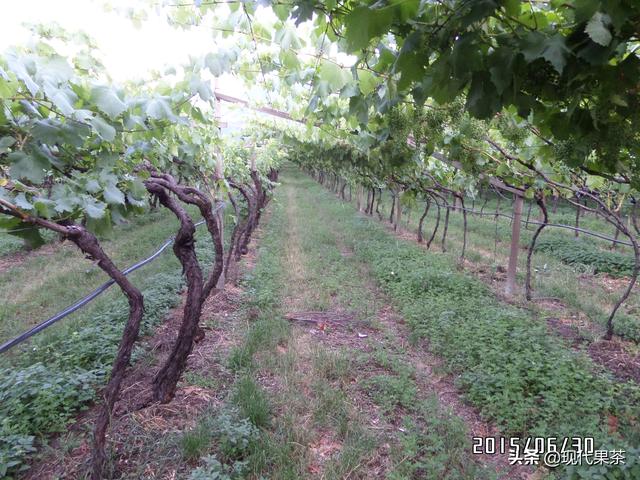 2018年意大利农业机械展