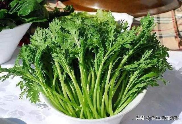 “清明吃2宝，一年无烦劳”！2宝是啥？采摘短，现在正当吃