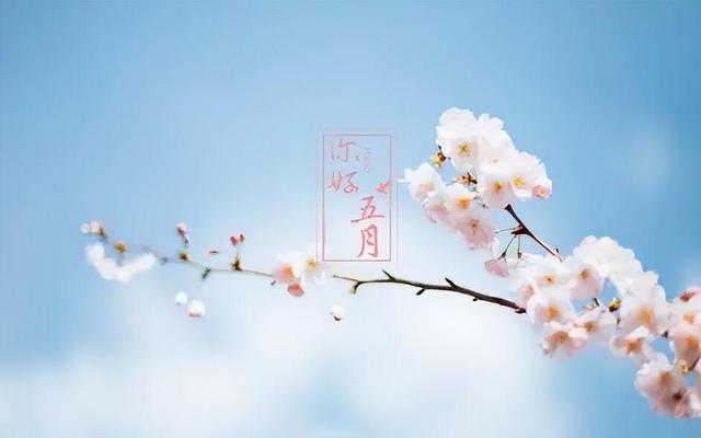 5月即将上新15款新机，全都是重量级，市场又一波大洗牌