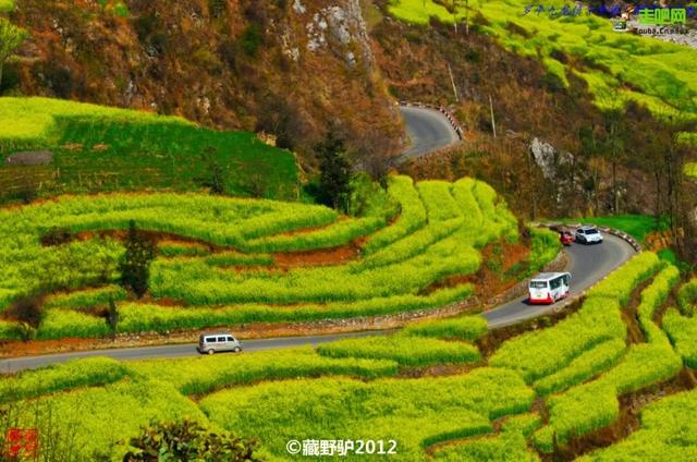 疆域情旅行社 疆域情旅行社