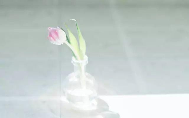 一路风景斑斓，不如朋友相伴