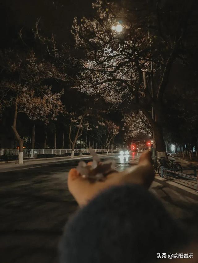 日常，便是最好的旅行！把旅行的心情帶到日常生活來吧