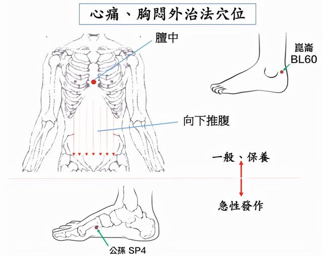 中医穴位，干货知识分享：任脉