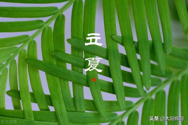 今日立夏，尊重习俗要补夏，可吃“2瓜2肉”，少吃3样，顺利入夏