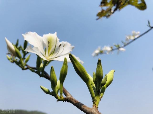 70岁以上的老人，每天最重要的事情是什么？
