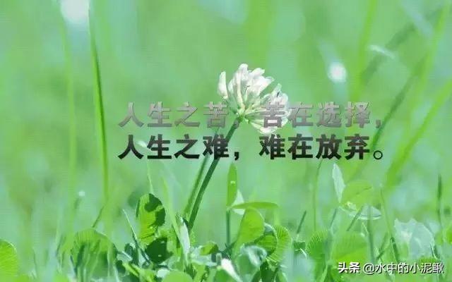 适合发朋友圈早安心语正能量句子，早上好图片大全正能量句子