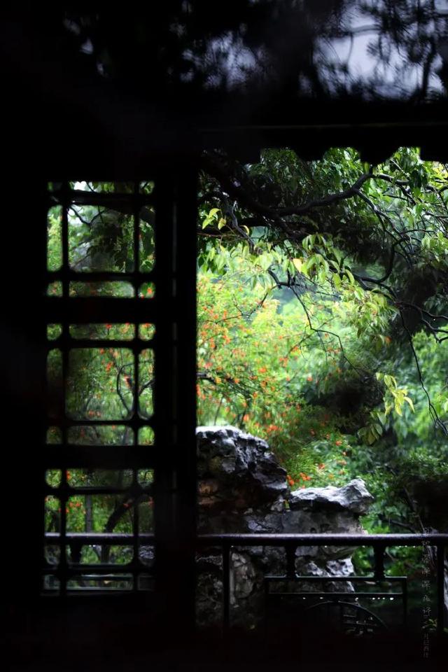 懂院子的人，一定懂生活