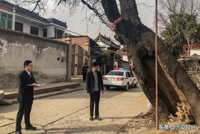 乡愁情思寄古树，检察听证护“绿色记忆”