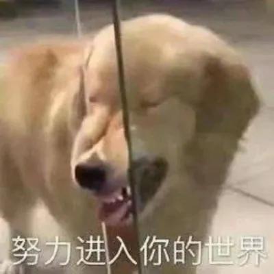 吸引人点赞的微信搞笑句子，特别皮的微信搞笑说说