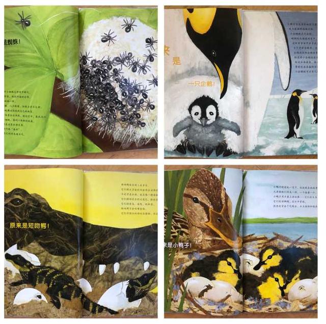 有哪些适合3岁孩子阅读的科普绘本？