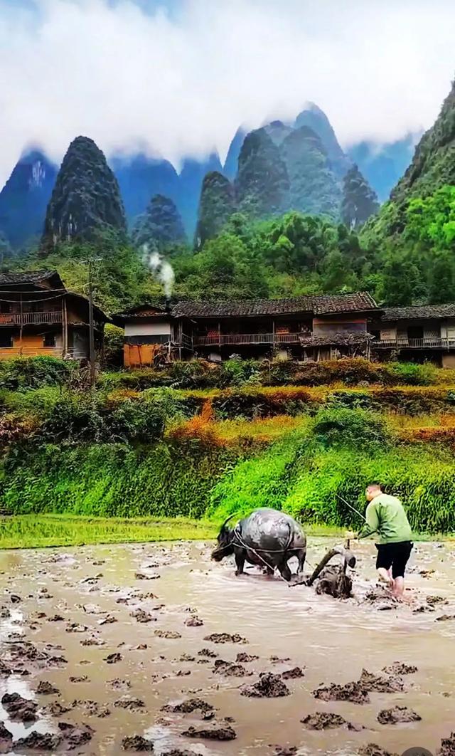 故乡美，惹人醉