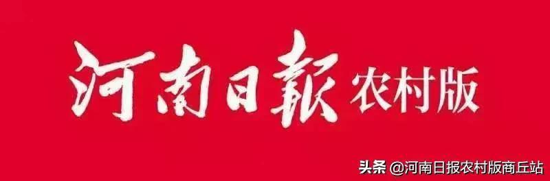 宁陵县实验中学：营造温馨安全环境 助力学生顺利复学