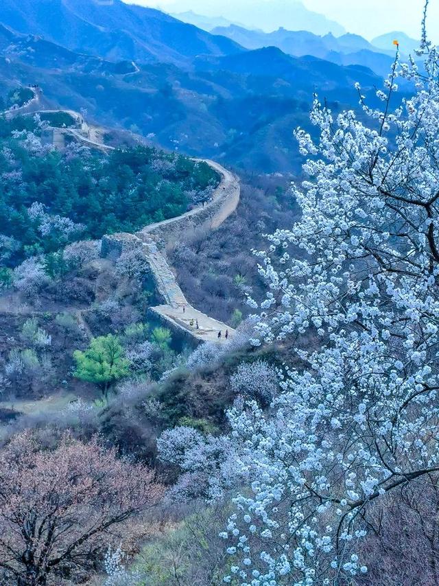 居庸关长城团建