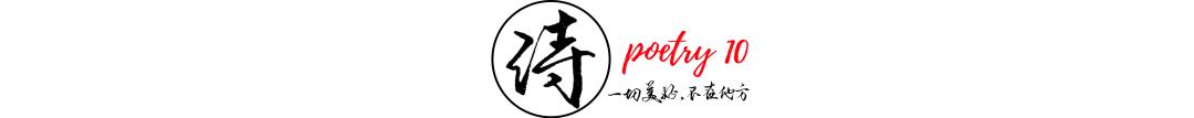 梦到白马是什么意思