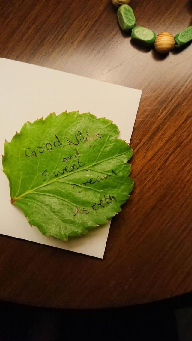 有人說是世界上最好的目的地我說一般