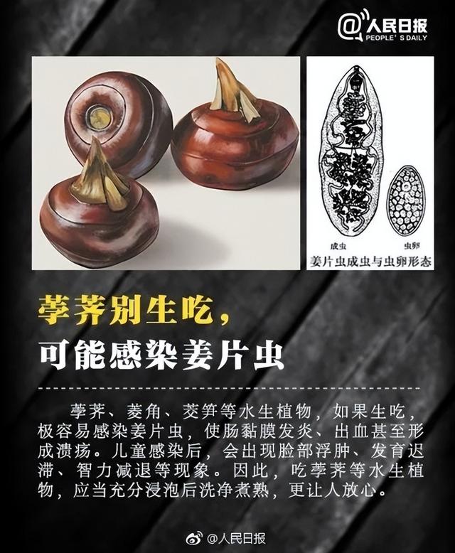 千万别碰！福寿螺体内寄生虫多达6000条