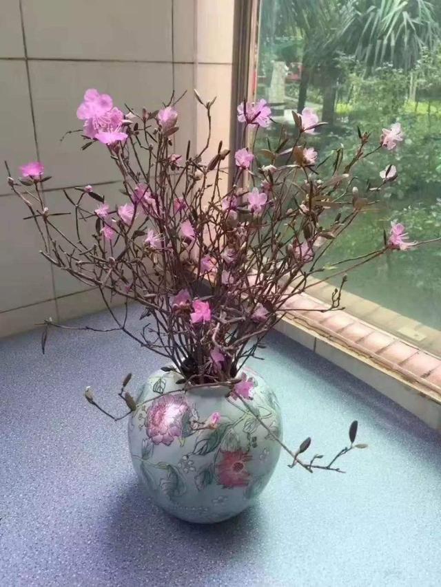 爱花