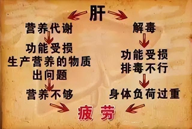 气血不足百病生 三招教你把气血补回来