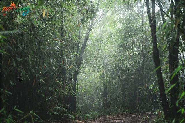 陕西汉中旅游