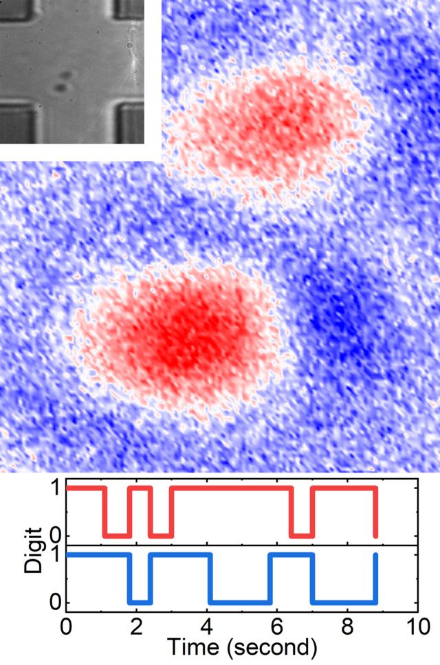 中国科学家设计真正的随机数产生器，每秒内可生成1000万位随机数