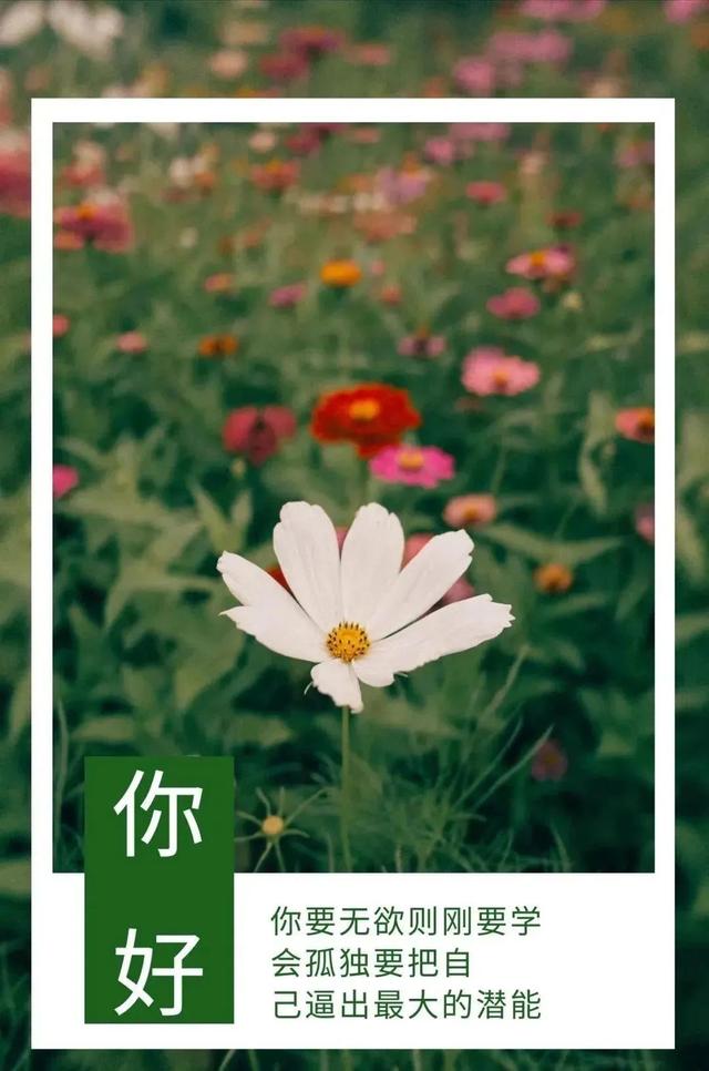 高考祝福语和鼓励的话8字