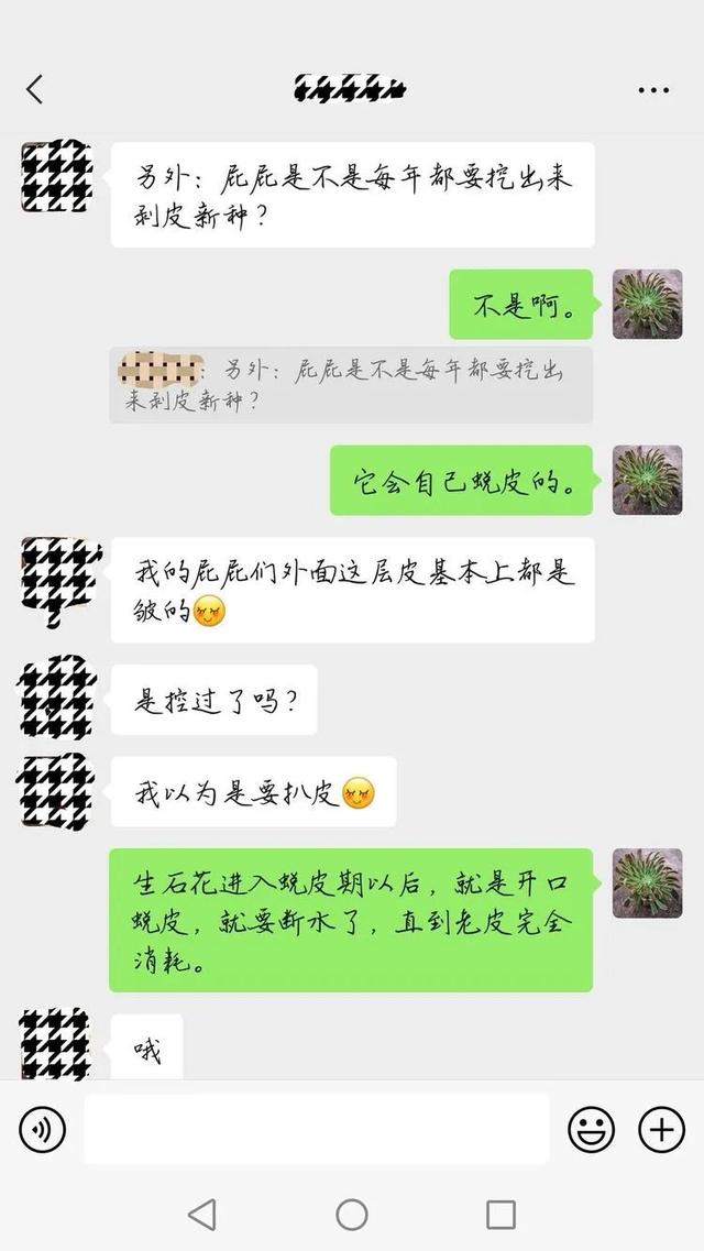 广西河沙洗砂机