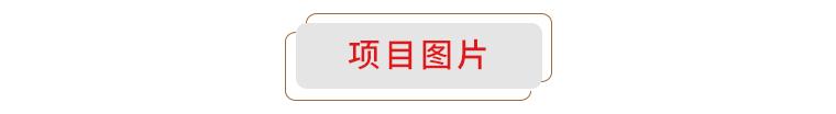 广东废家电破碎机供应商