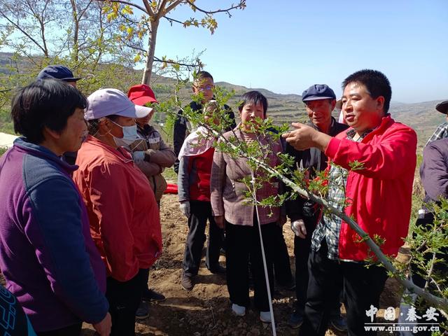 中山镇肖渠村驻村工作队：开展花椒技术培训 助力椒农增收致富