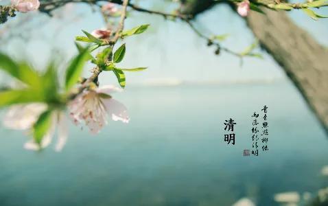 伤心最是清明雨