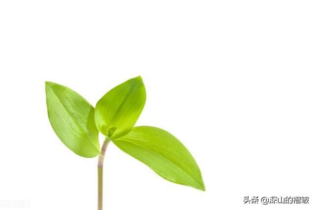 老屋是时间在人间留下的痕迹