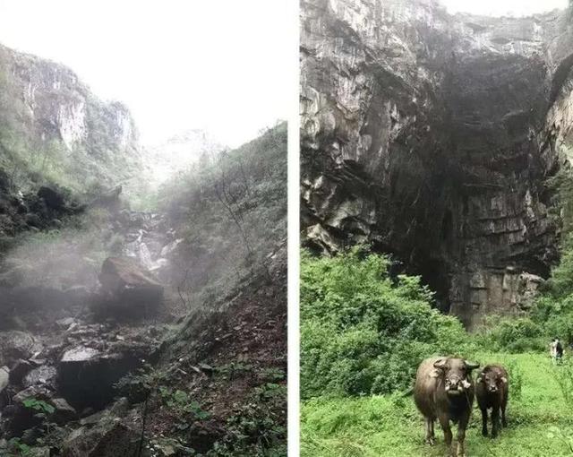 血戰邊城之十：湘西剿匪最後一戰，土匪藏身夯來洞解放軍燒辣椒熏
