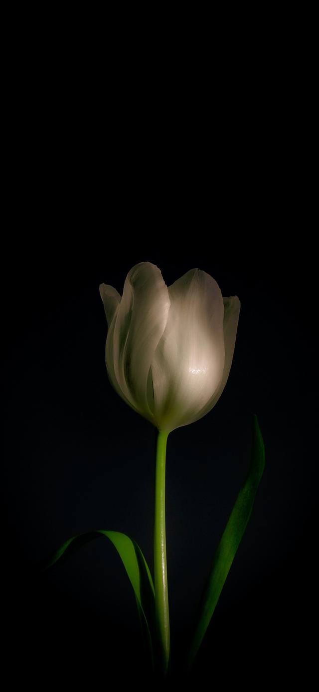 [ios点淘分身]黑色系壁纸高级冷淡风插图(7)