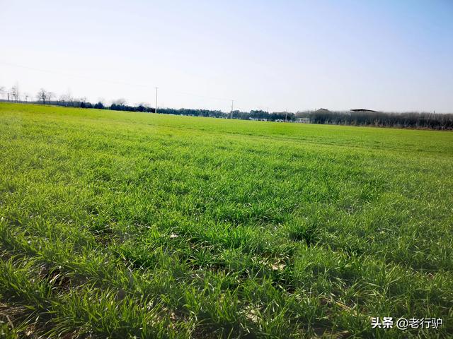 白鹿原行走日記：11月21日尋找劉恒和他的窦皇後