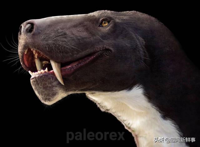 外国艺术家画了67种奇特逼真的史前动物 真是令人大开眼界 新闻时间
