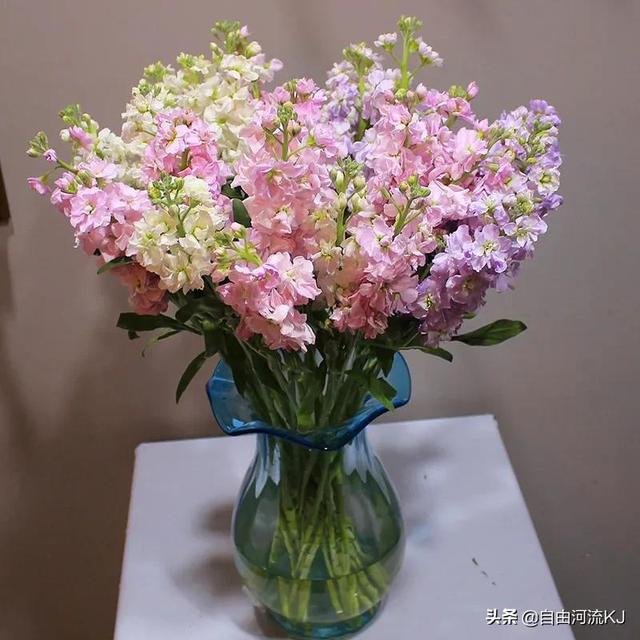 鲜花盛开，姹紫嫣红，争奇斗艳，美不胜收