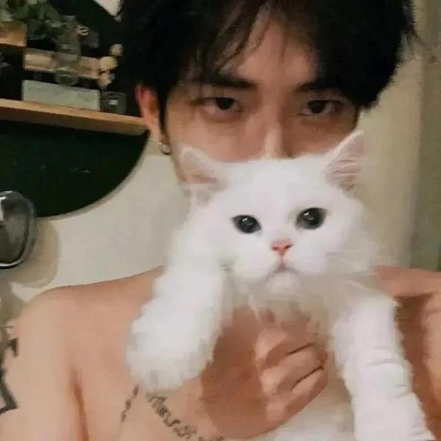 [微信智多星多少钱]，微信男生名字帅气冷酷