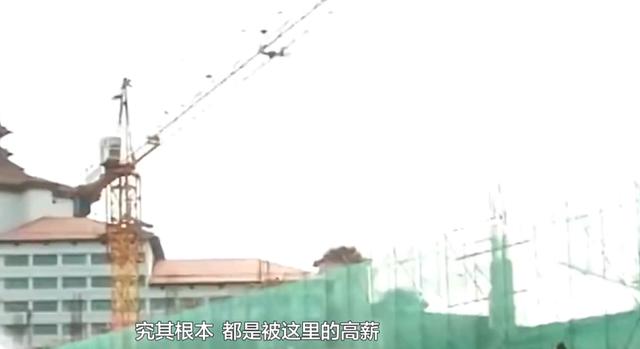 男子为挣大钱，被骗缅北后遭受非人待遇，跳楼逃生被抓后险遭活埋