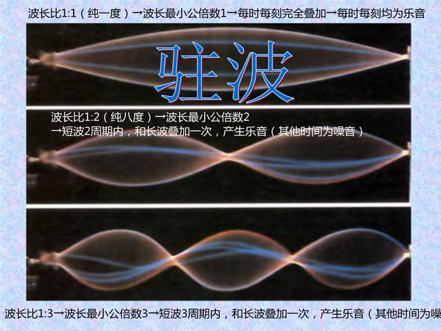 主c的c是什么意思