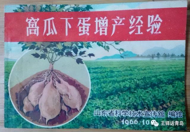 包含果筐破碎机自动接料的词条