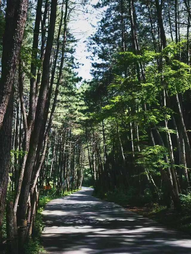 如果你的朋友來過陝北這個地方，趕緊珍惜他吧